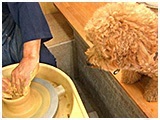ダダ きょうのわんこ 写真5