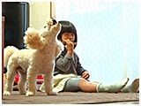 メル きょうのわんこ 写真5
