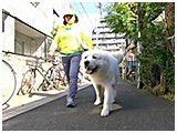 ライ きょうのわんこ 写真3