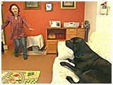 アーリー きょうのわんこ 写真2