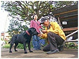 アーリー きょうのわんこ 写真5