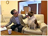太輔 きょうのわんこ 写真2
