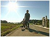 天 きょうのわんこ 写真2