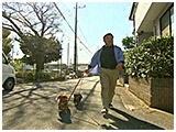 そら きょうのわんこ 写真2