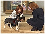 くるみ きょうのわんこ 写真5