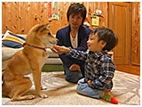 ねね きょうのわんこ 写真2
