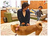ねね きょうのわんこ 写真3