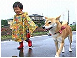ねね きょうのわんこ 写真4