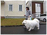 宇宙 きょうのわんこ 写真2