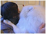 宇宙 きょうのわんこ 写真4