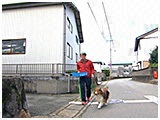 トム きょうのわんこ 写真2