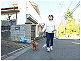 ティラ きょうのわんこ 写真2