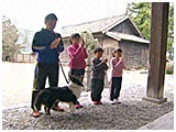 バディー きょうのわんこ 写真5