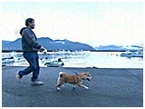 てん きょうのわんこ 写真2