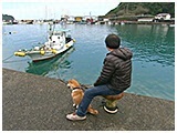 てん きょうのわんこ 写真3