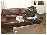 ポチ きょうのわんこ 写真2