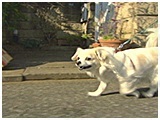 ハッピー きょうのわんこ 写真3