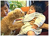 桃 きょうのわんこ 写真3
