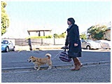 小太郎 きょうのわんこ 写真2