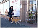 小太郎 きょうのわんこ 写真3