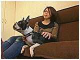 ニコ きょうのわんこ 写真2