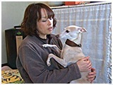 ルキア きょうのわんこ 写真3
