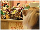 咲愛 きょうのわんこ 写真4
