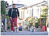 クレディー・バークレー きょうのわんこ 写真5
