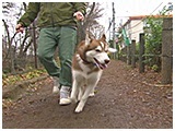 オーク きょうのわんこ 写真2
