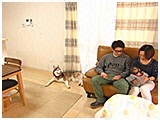オーク きょうのわんこ 写真5