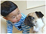 メイ きょうのわんこ 写真3