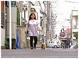 ヴィトン きょうのわんこ 写真3