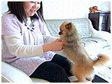 ヴィトン きょうのわんこ 写真4