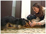 TOM きょうのわんこ 写真4