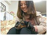 TOM きょうのわんこ 写真5