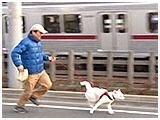 えり きょうのわんこ 写真4