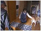 ひめ きょうのわんこ 写真5