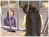 もも きょうのわんこ 写真5