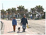 だんご きょうのわんこ 写真2