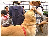 Den次郎 きょうのわんこ 写真4