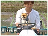 権田 きょうのわんこ 写真2