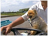 権田 きょうのわんこ 写真3