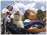 きなこ きょうのわんこ 写真4