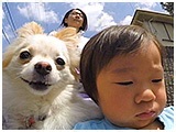 きなこ きょうのわんこ 写真5