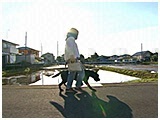 シャドウ きょうのわんこ 写真2