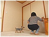 りく きょうのわんこ 写真3
