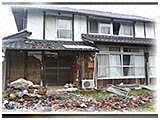 まり きょうのわんこ 写真3