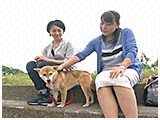 まり きょうのわんこ 写真5
