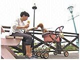 華子 きょうのわんこ 写真4