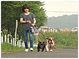 キーパー・シロップ きょうのわんこ 写真2